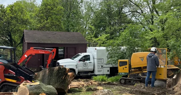 Pittsburgh's weather impact on tree health throughout the year