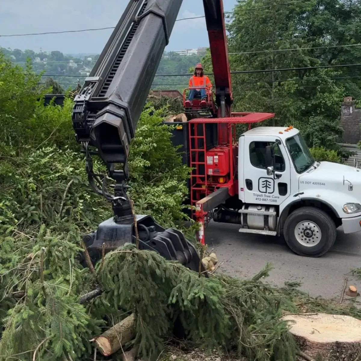 Large tree removal cleanup with grapple truck in Pittsburgh, PA