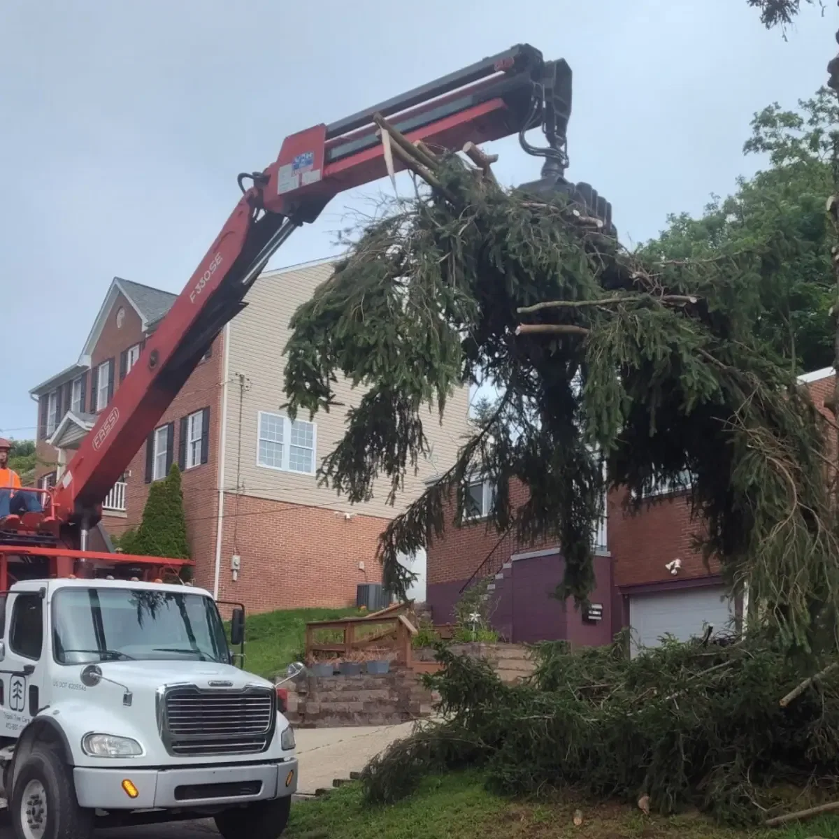 Tripoli Tree Care grapple truck loading tree debris in Pittsburgh, PA