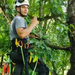 An arborist caring for trees during seasonal weather changes in Pittsburgh