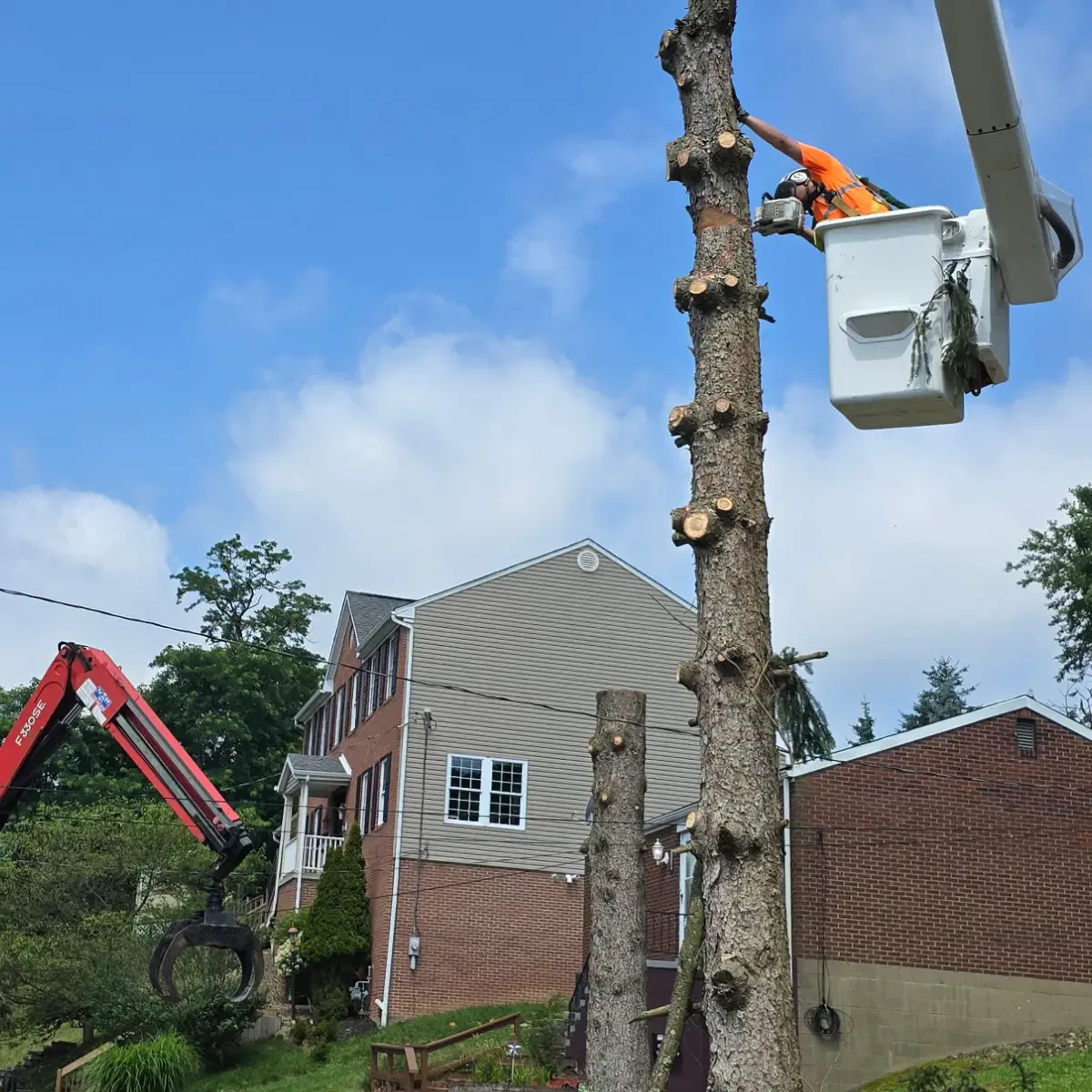 Tree Service in McKeesport, PA