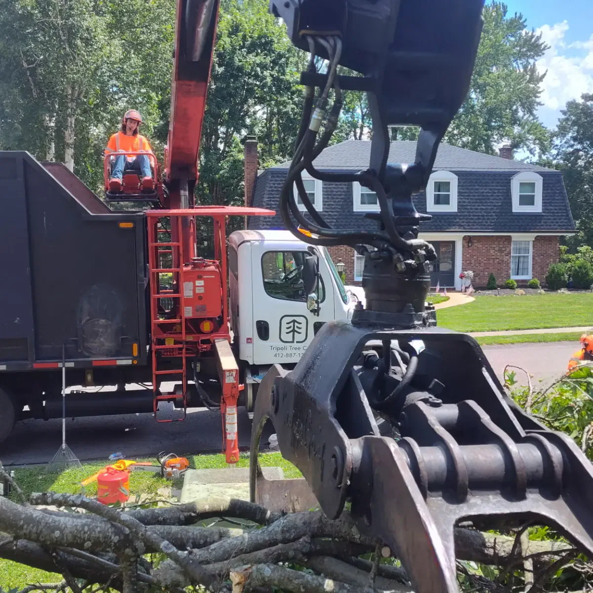 Certified operator using a crane for controlled tree removal in Pittsburgh, PA