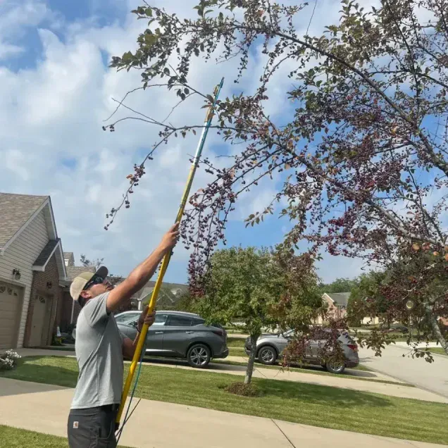Tree removal and pruning services in Green Tree PA with crew working on residential property
