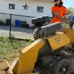 Stump Grinding