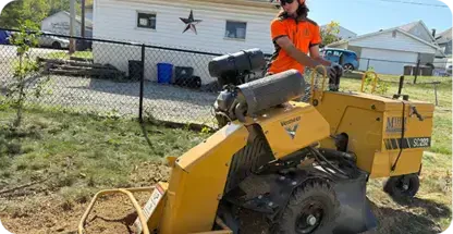 Stump Grinding