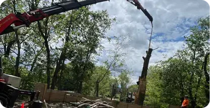 24/7 Emergency Tree Service