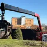 Commercial Tree Services