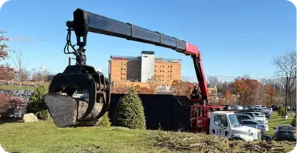 Commercial Tree Services