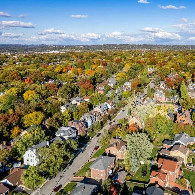 Expert Tree Services in Squirrel Hill