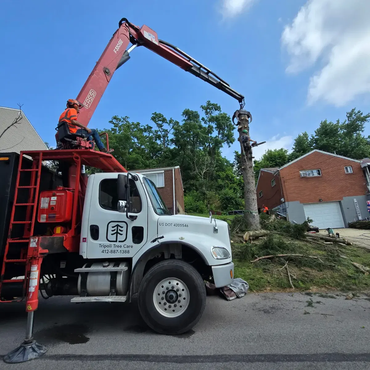 Tree removal service in Pittsburgh removing large backyard tree