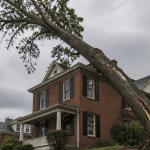 Hazardous leaning oak tree overhanging Pittsburgh PA home.