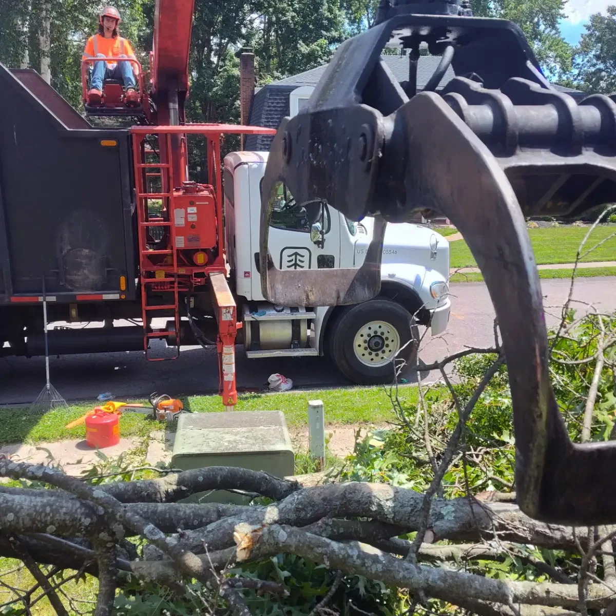 Tree service crew removing hazardous tree near homes in Homestead, PA