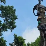 Certified arborist inspecting a hazardous tree on a Pittsburgh residential property