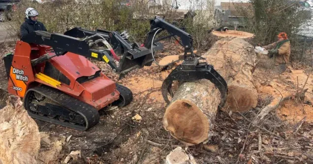 How Much Does Tree Removal Cost in Pittsburgh, PA? A Comprehensive Guide