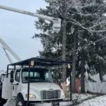 Snow-covered trees in a Pittsburgh winter landscape with protective wrapping on young specimens