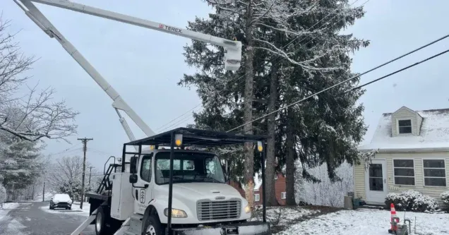 Winter Tree Care in Pittsburgh and Allegheny County