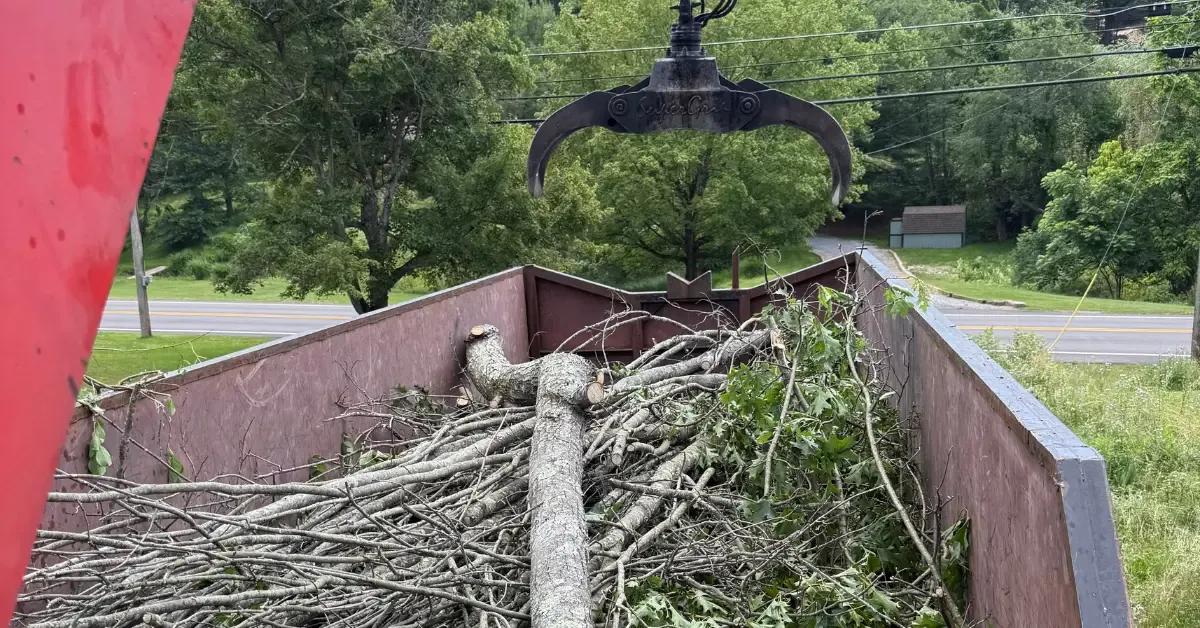 Professional land clearing equipment removing trees and brush on a Pittsburgh property