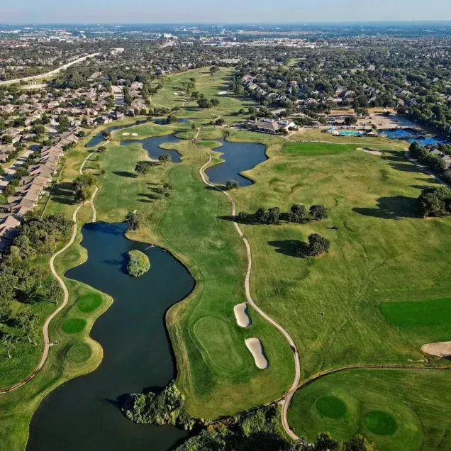 Expert Tree Services in Oakmont