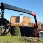 Commercial Tree Services