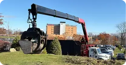 Commercial Tree Services