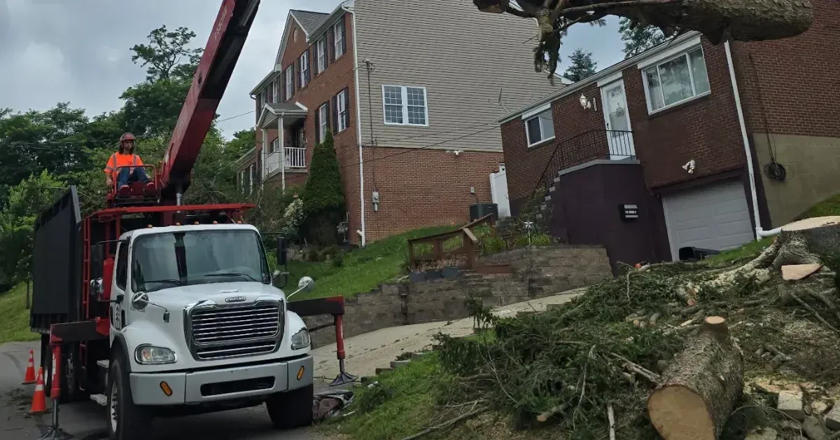 Safe tree removal in Carnegie, PA, near residential properties