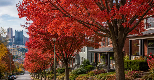 Best Low-Maintenance Trees to Plant in Pittsburgh, PA