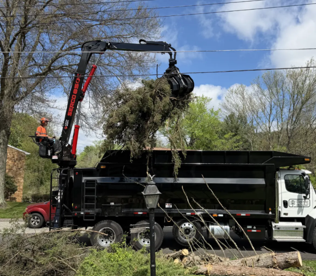 Why Pittsburgh’s Hillsides Make Tree Removal More Complicated