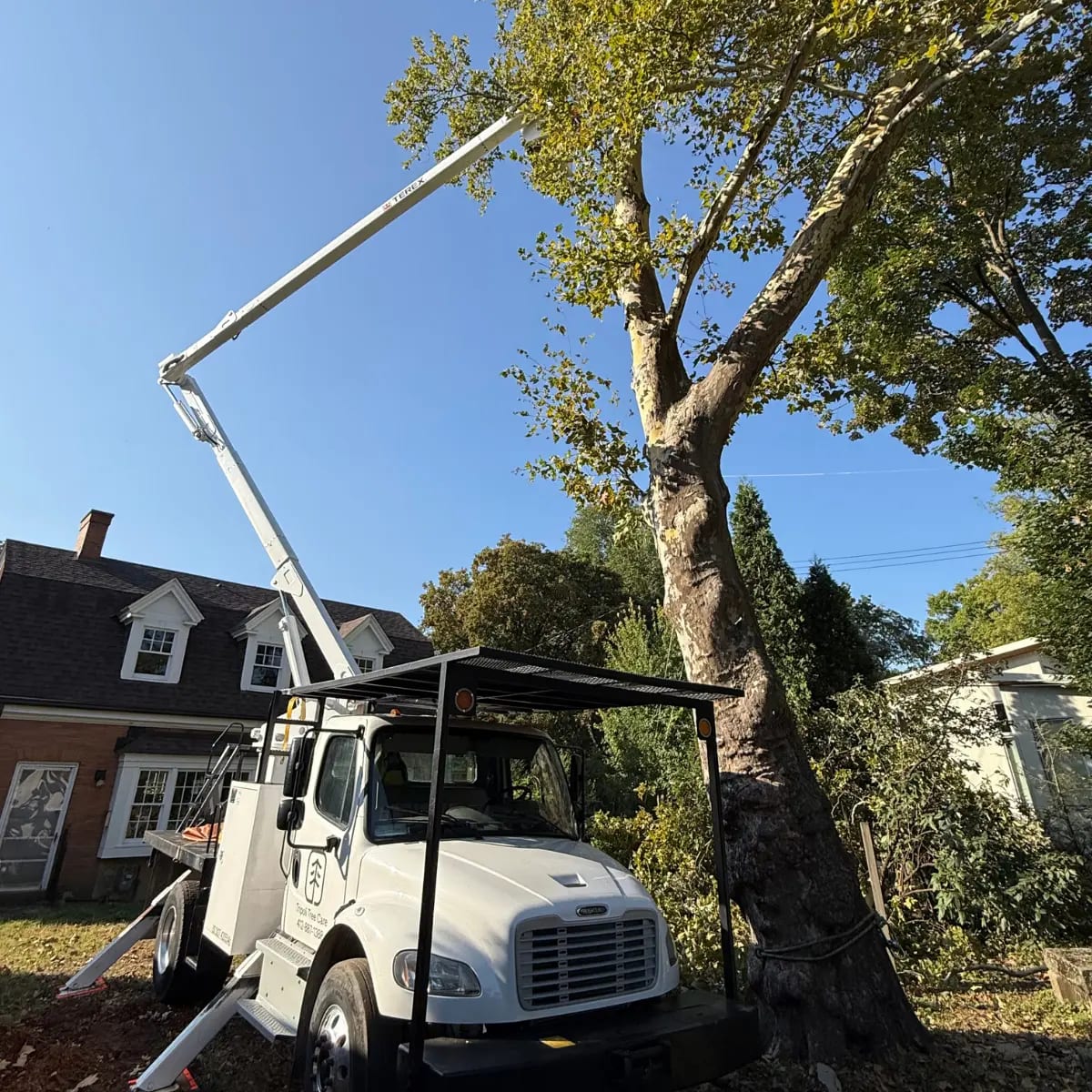 Arborist working from bucket truck near roofline