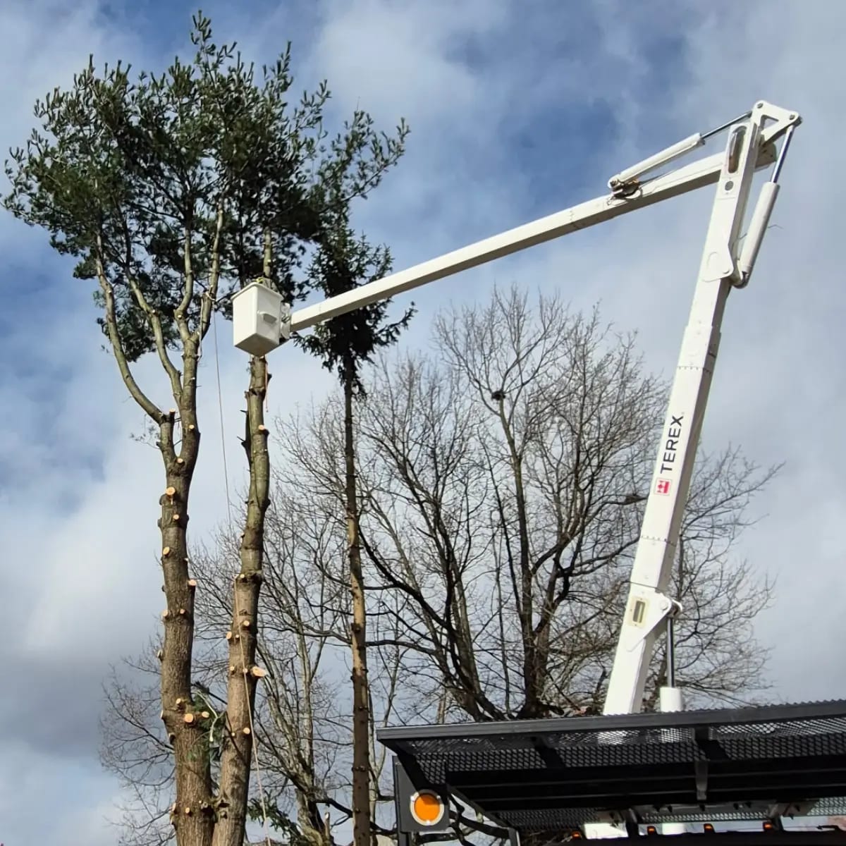 Bucket truck reaching high areas near residential property in Pittsburgh