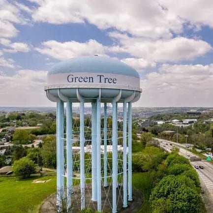 Expert Tree Services in Green Tree