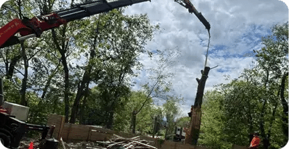 24/7 Emergency Tree Service