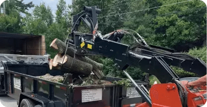 Storm Damage Cleanup
