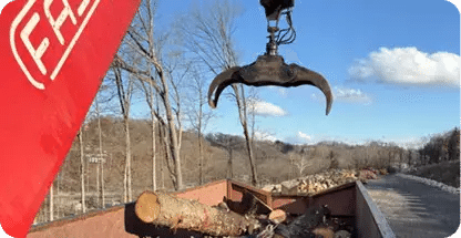Land Clearing