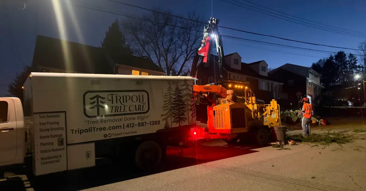 Emergency Tree Service in Pittsburgh, PA | Available 24/7