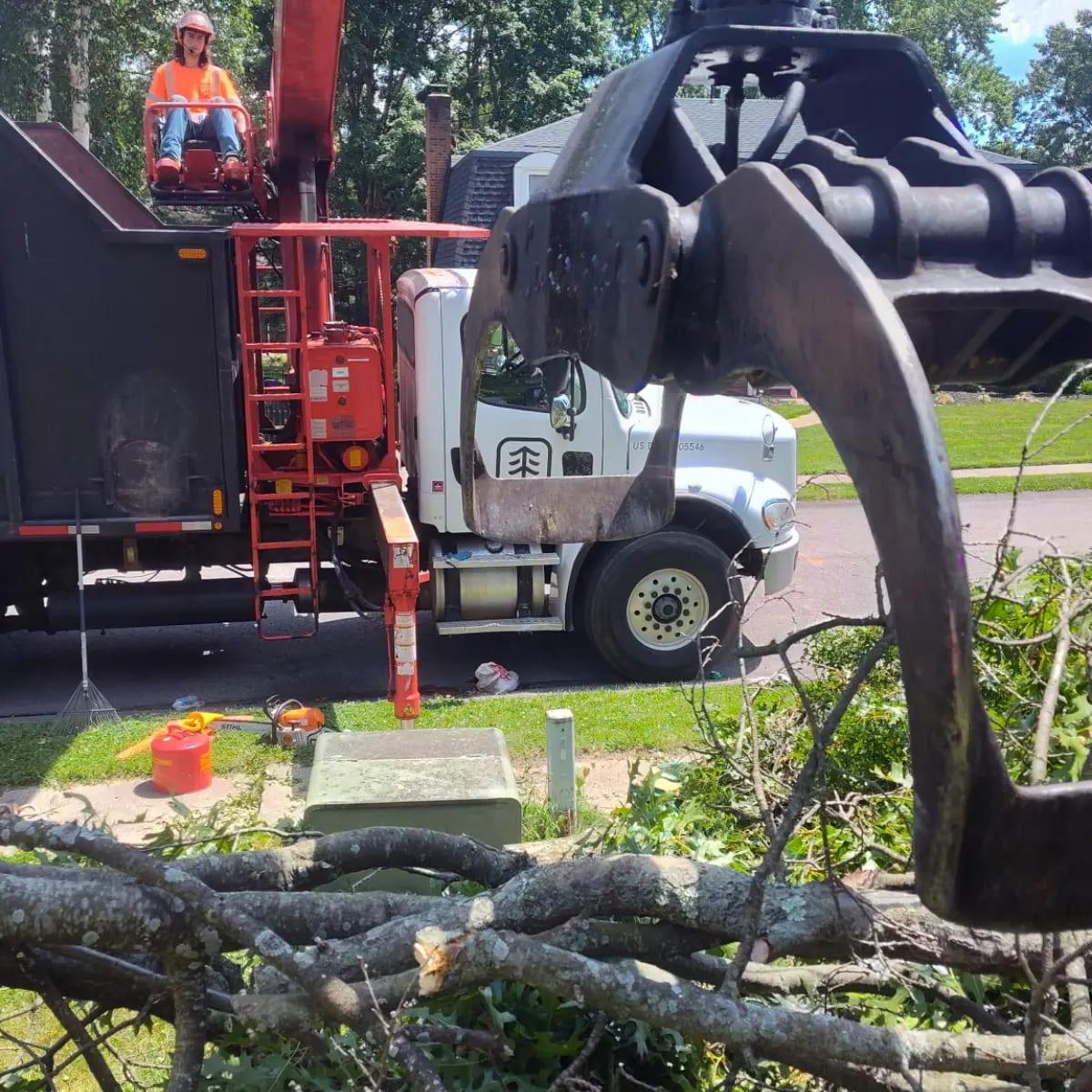 Tree service crew removing hazardous tree near homes in Homestead, PA