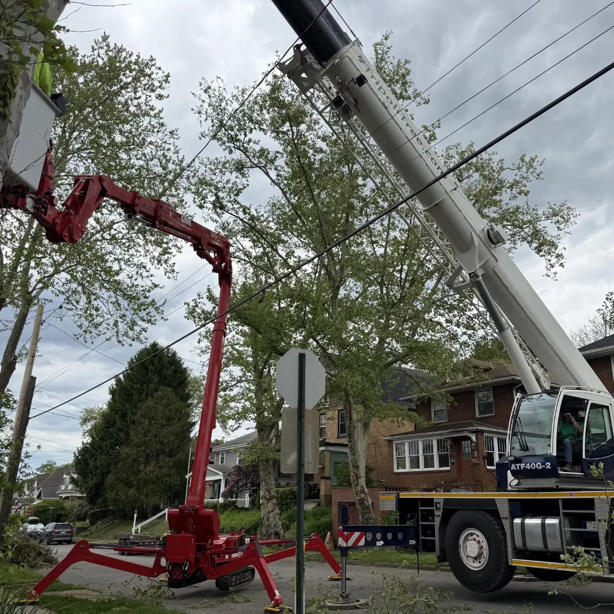 Tripoli Tree Care crane removing heavy limbs near structures in Pittsburgh, PA