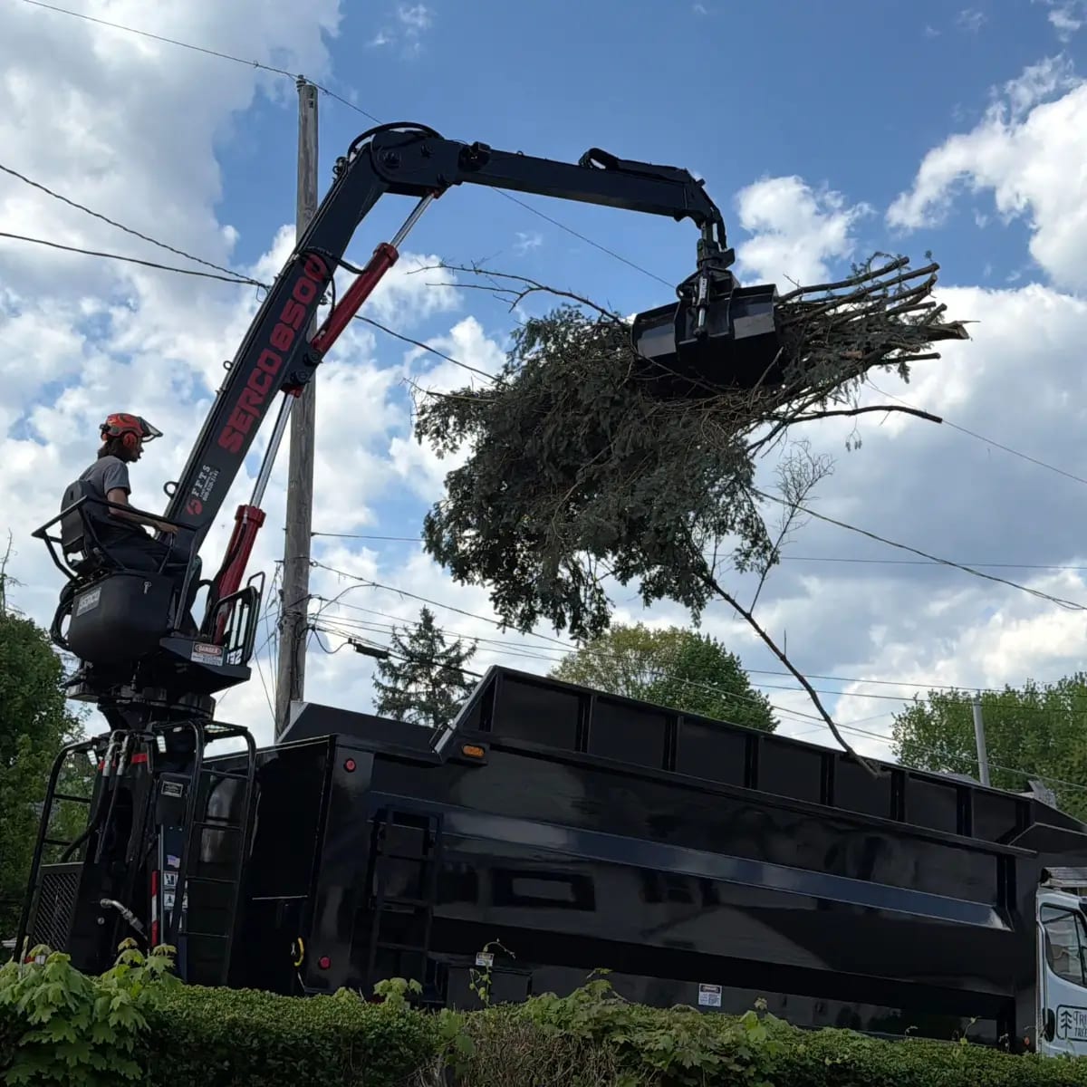 Tripoli Tree Care grapple truck in action, lifting and clearing tree debris quickly and efficiently across Pittsburgh